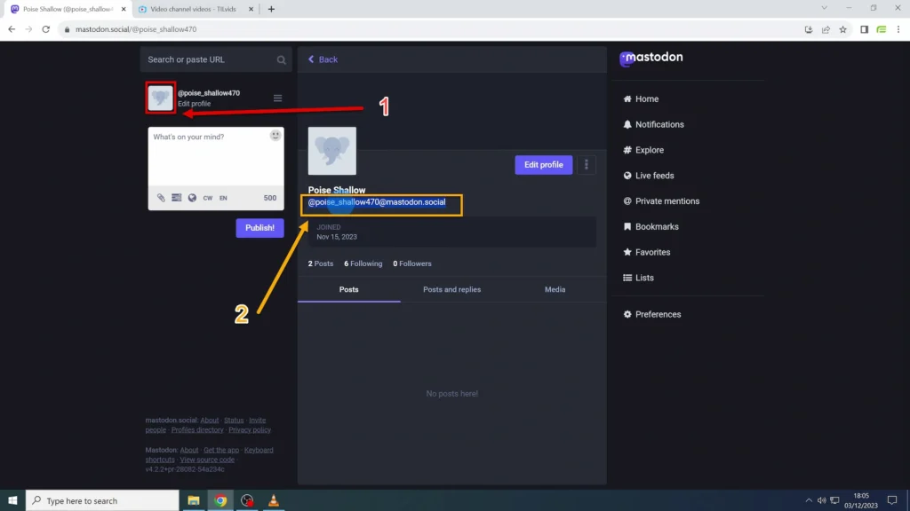 Mastodon Handle at Your Profile Page Your name at the top left corner of your profile page to click when you want to copy Mastodon handle