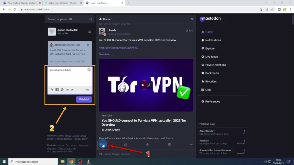 Leaving Comments on Mastodon Reply button at the bottom of the page and Publish button on the left for leaving comments on Mastodon